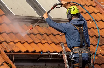 Démoussage et hydrofuge de toiture à Blarians